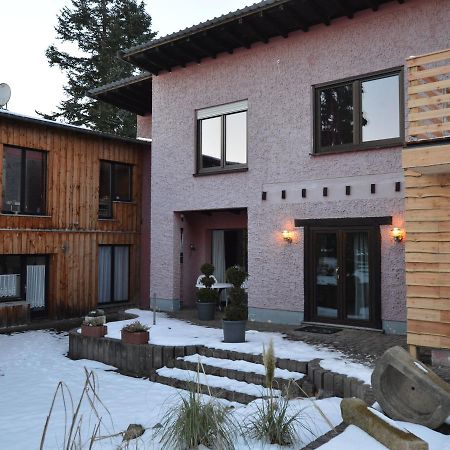 Apartment In The District Of Manderscheid Exteriér fotografie
